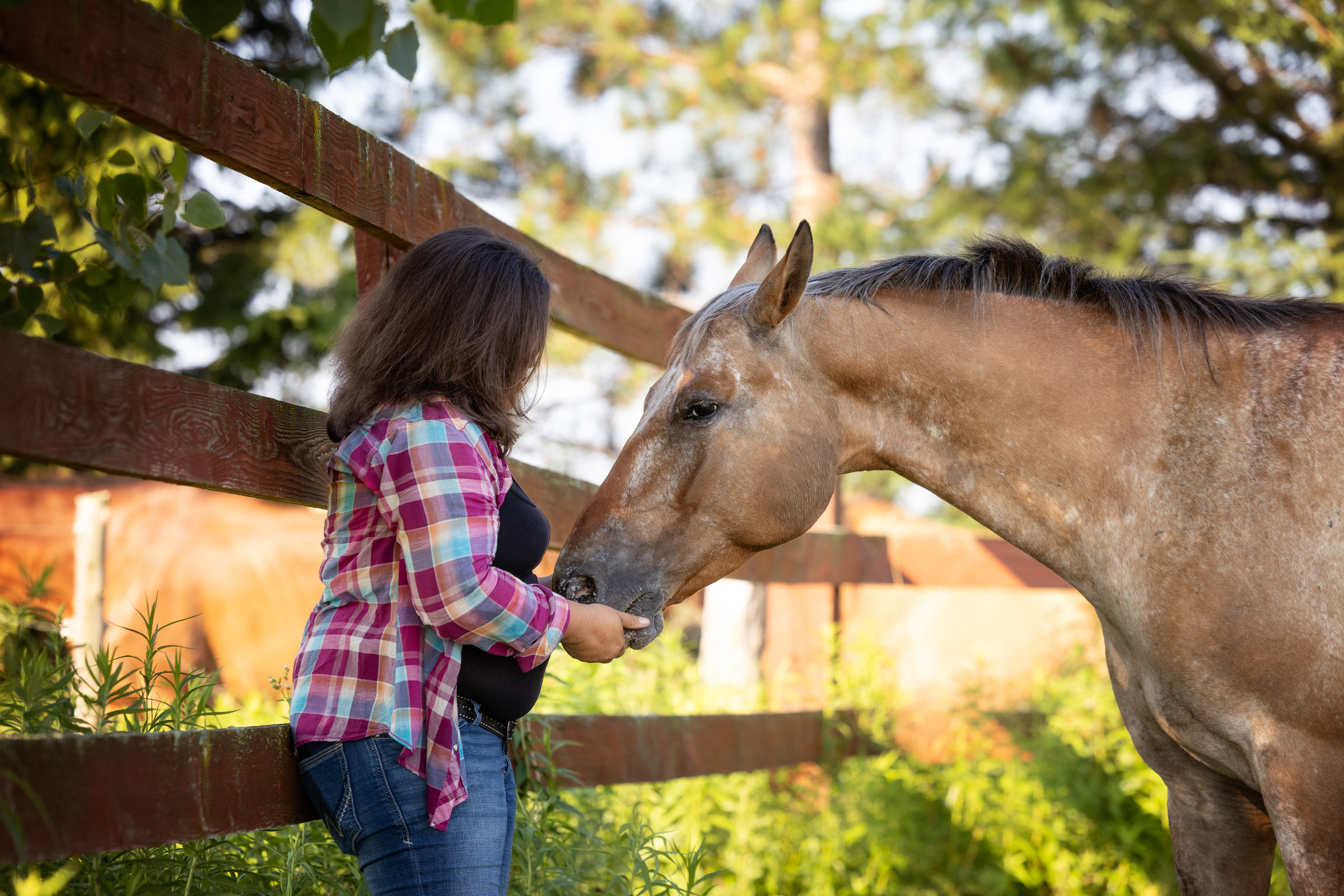 Une belle rencontre avec un cheval